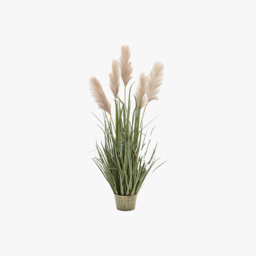 Faux Grass Plant with Pampas Seed Heads, Medium