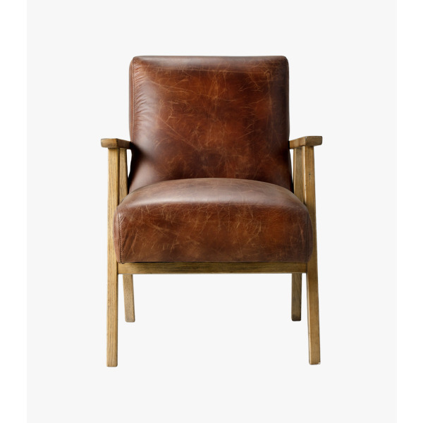 Dan Leather Armchair in Brown