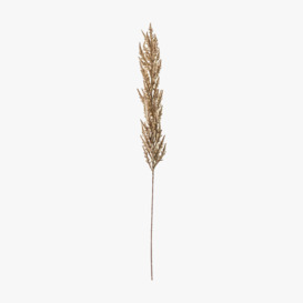 Lazni Taupe Pampas Grass Stem, Set of Three