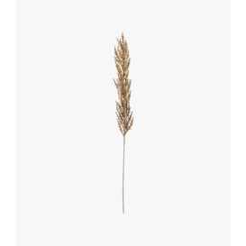 Lazni Taupe Pampas Grass Stem, Set of Three