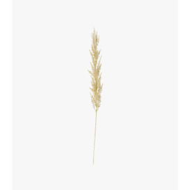 Lazni Ivory Pampas Grass Stem, Set of Three