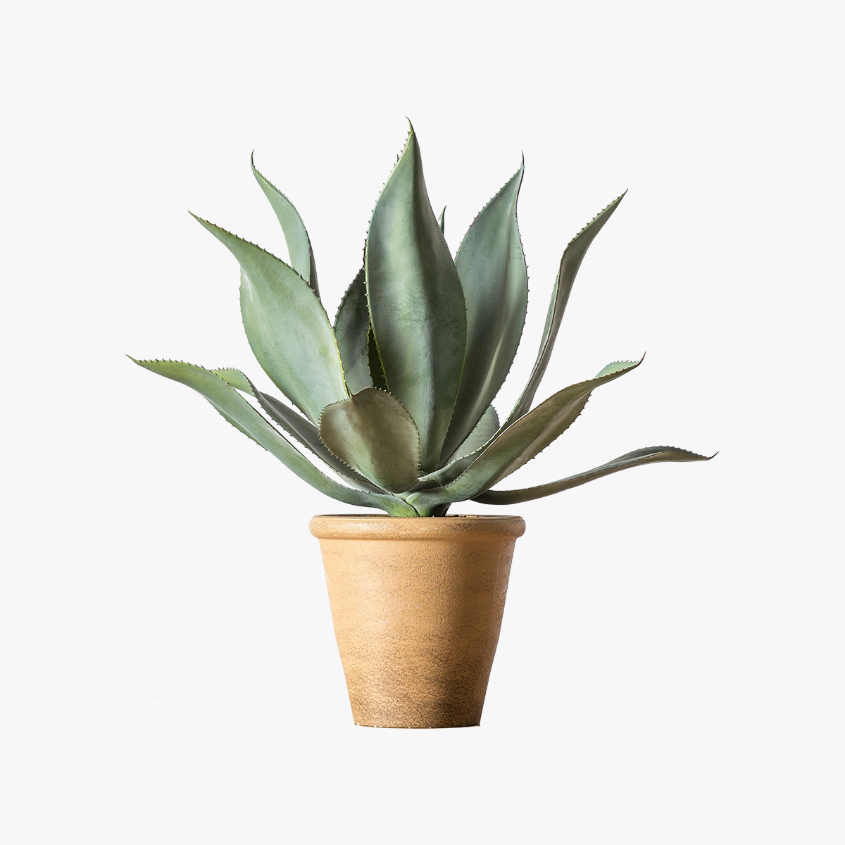 Spike Faux Aloe Plant With Wide Leaves