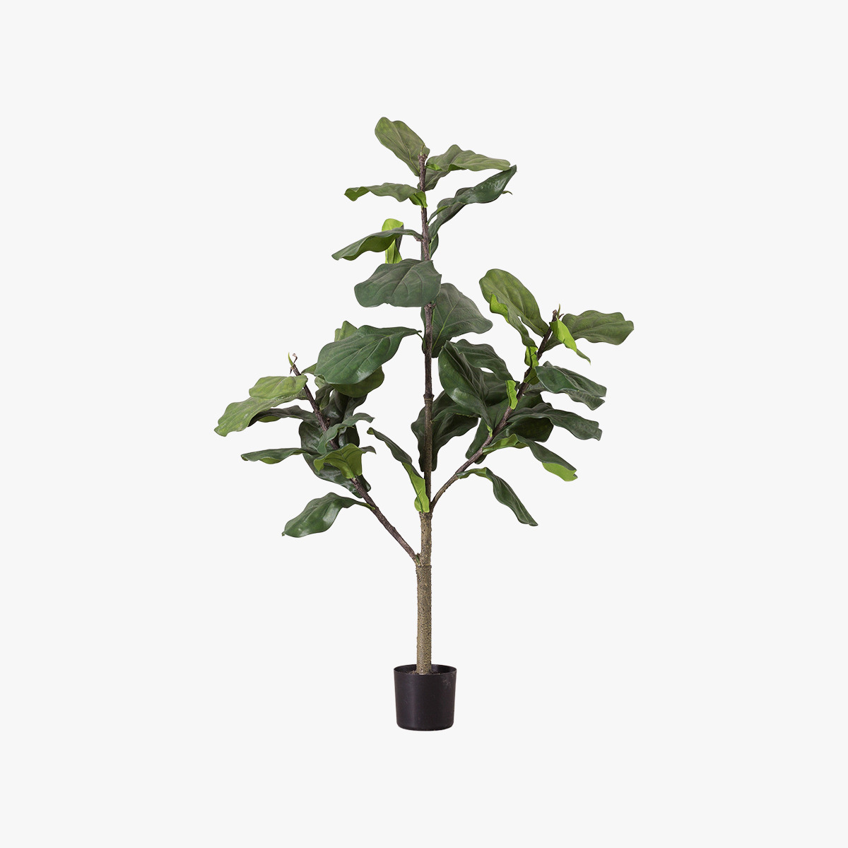 Small Faux Fiddle Tree