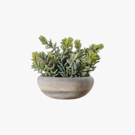 Faux Sedum in Cement Pot, Large