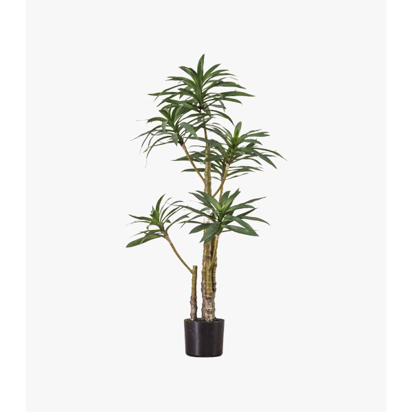 Faux Yucca Tree, Large