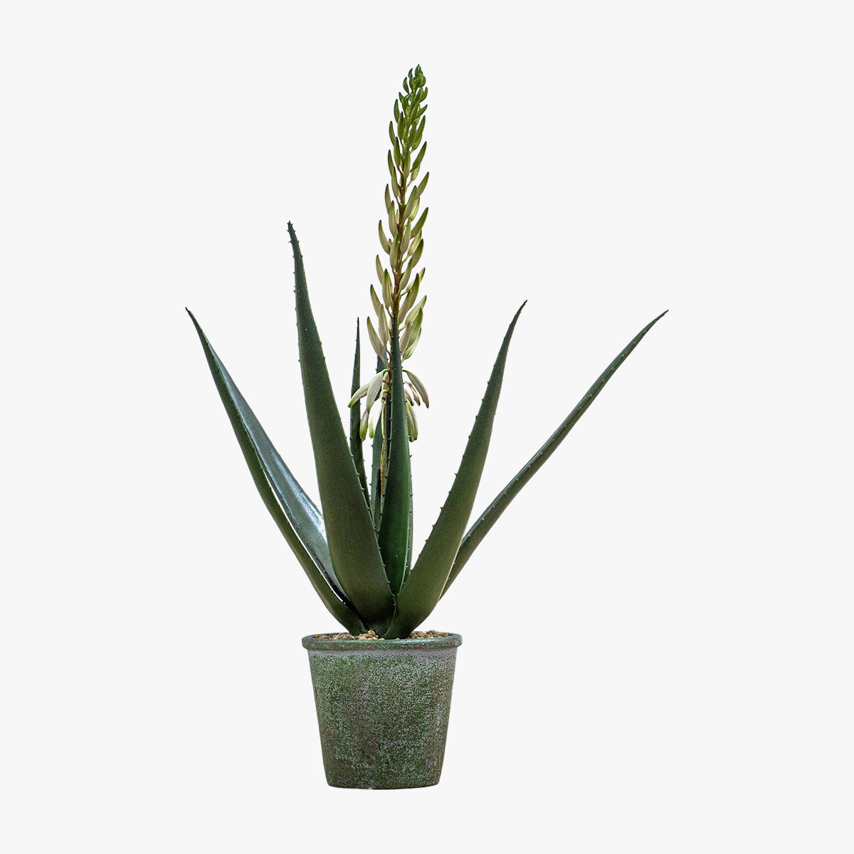 Isla Faux Aloe with Flowers in Tonal Pot Small