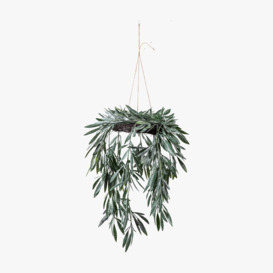 Canberra Eucalyptus Hanging Wreath