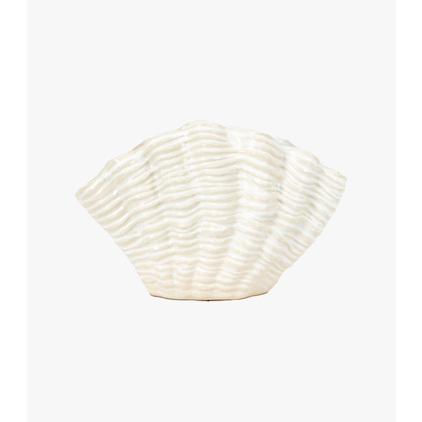 Cockle Shell Vase in White - Small