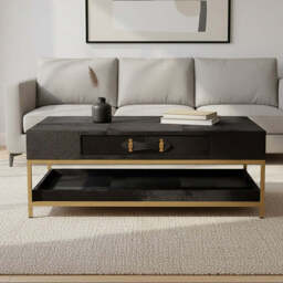 Kensington Townhouse Black Hair on Leather 2 Drawer Coffee Table