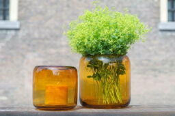 VASE MAZURKA - AMBER by DutZ - thumbnail 4