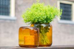 VASE MAZURKA - AMBER by DutZ - thumbnail 5