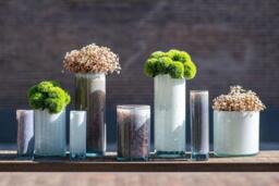 CYLINDER 6 Vase Pot - H18 D18 cm - mouthblown glass by DutZ - thumbnail 5