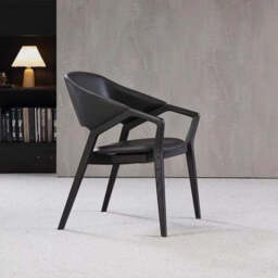 Orego Chair - Black / Set of 2
