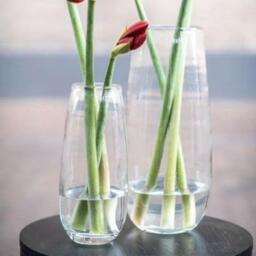 VASE ROBERT - CLEAR glass by DutZ - thumbnail 1