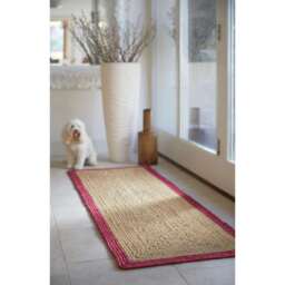 Bordered Raspberry Jute Rug - thumbnail 3