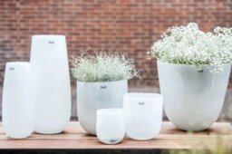 VASE ROBERT - WHITE Colour by DutZ - thumbnail 5