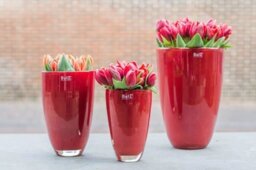 FLOWERVASE - WHITE by DutZ - thumbnail 3