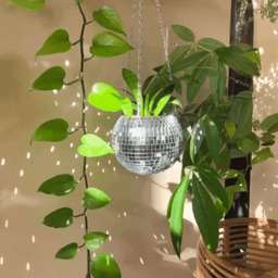 The Disco Planter - thumbnail 2