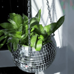 The Disco Planter - thumbnail 3