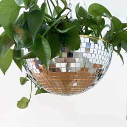 The Disco Planter - thumbnail 5