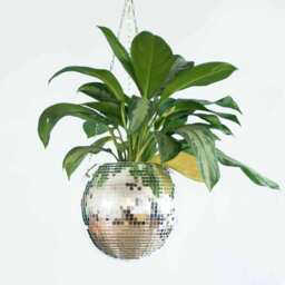 The Disco Planter - thumbnail 6