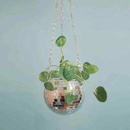 The Disco Planter - thumbnail 4