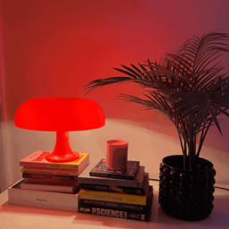 The Ambient Mushroom Desk Lamp - thumbnail 6