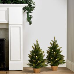 Bethlehem Lights Pre Lit Set of 2 45cm Mini Potted Trees with Timer