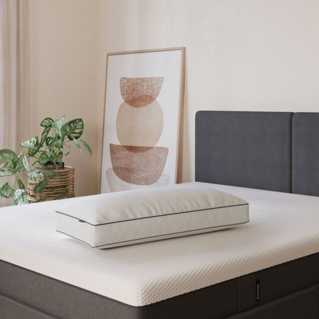 Emma Microfibre Pillow