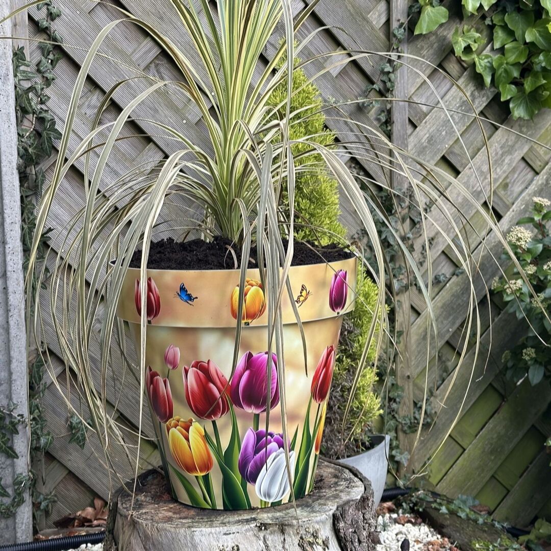 Grumpy Gardener Set of 2 Large 38cm Printed Planters by QVC | uFurnish.com
