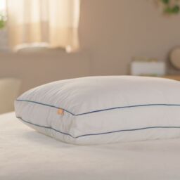 Emma Adapt Cooling Pillow