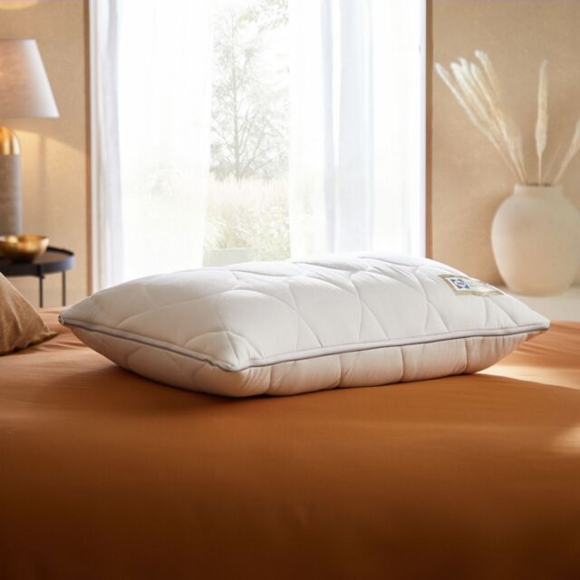 Sealy Hybrid 2 in 1 Pillow