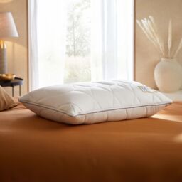 Sealy Hybrid 2 in 1 Pillow