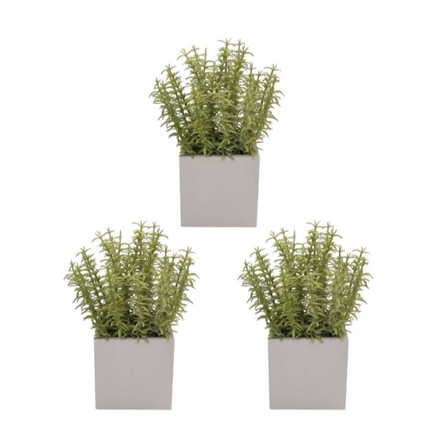 K By Kelly Hoppen Set of 3 Faux Plants