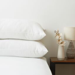 Cozee Home Supersoft Set of 2 Housewife Pillowcases