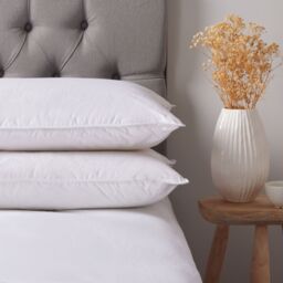 Northern Nights Premium Duck Feather & Down Pillow