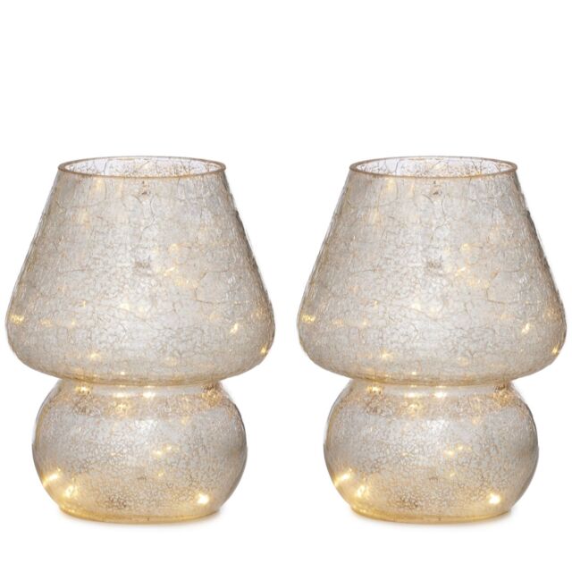 Home Stories Set of 2 Mercury Lamps with LED Lights
