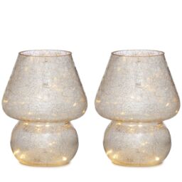 Home Stories Set of 2 Mercury Lamps with LED Lights