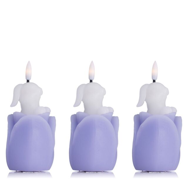 Home Stories Set Of 3 Flameless Wax Bunny Tulip Candles