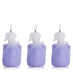 Home Stories Set Of 3 Flameless Wax Bunny Tulip Candles