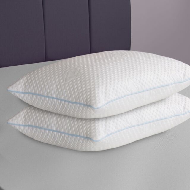 Sealy Advantage Anti-Allergen Purotex Down Touch Pillow Pair