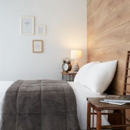 Cozee Home Velvetsoft Filled Throw