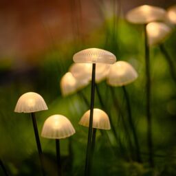 Solar Centre Woodland Mushroom Set of 3 Stake Lights
