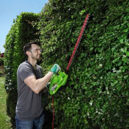Thompson & Morgan 600W Electric Hedge Trimmer