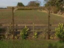 Rackhams Screen Pergola, Plant Climbing Arbour - Corbel Sculpted Brace - Rustic Brown - Four Row Kit - 1.8m - thumbnail 6