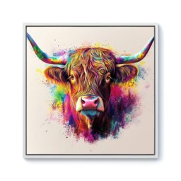 "Rackhams Super Splashart Highland Cow Framed Canvas - Black - 40"" x 40""" - thumbnail 2