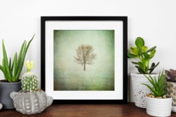 Rackhams Lonely Tree - Framed Print 20 x 20 inch