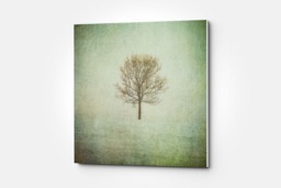 Rackhams Lonely Tree - Framed Print 20 x 20 inch - thumbnail 2