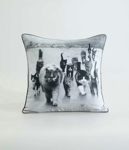 Rackhams Catmob Cushion - image 1
