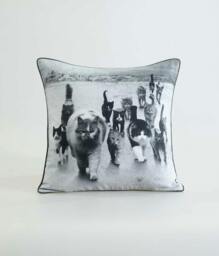 Rackhams Catmob Cushion